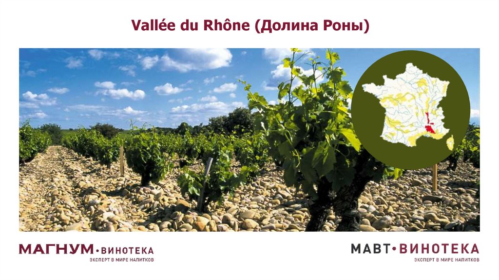 Vallée du Rhône (Долина Роны)