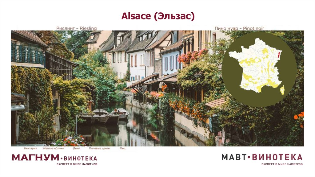 Alsace (Эльзас)
