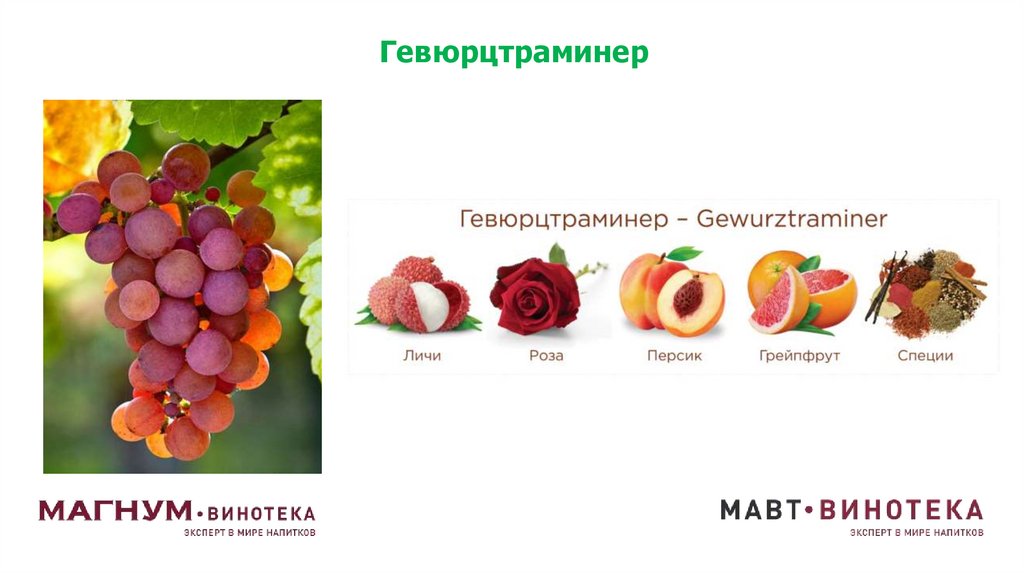 Гевюрцтраминер