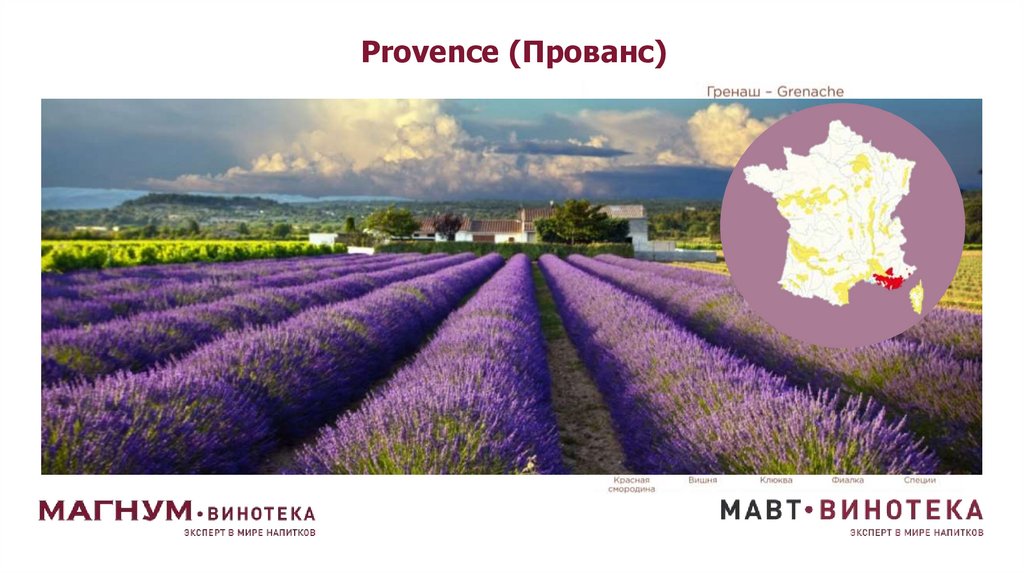 Provence (Прованс)