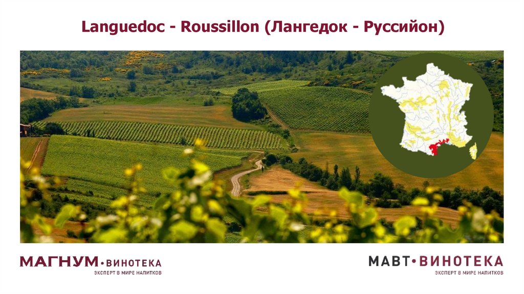 Languedoc - Roussillon (Лангедок - Руссийон)