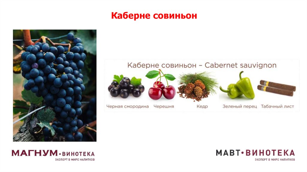 Каберне совиньон