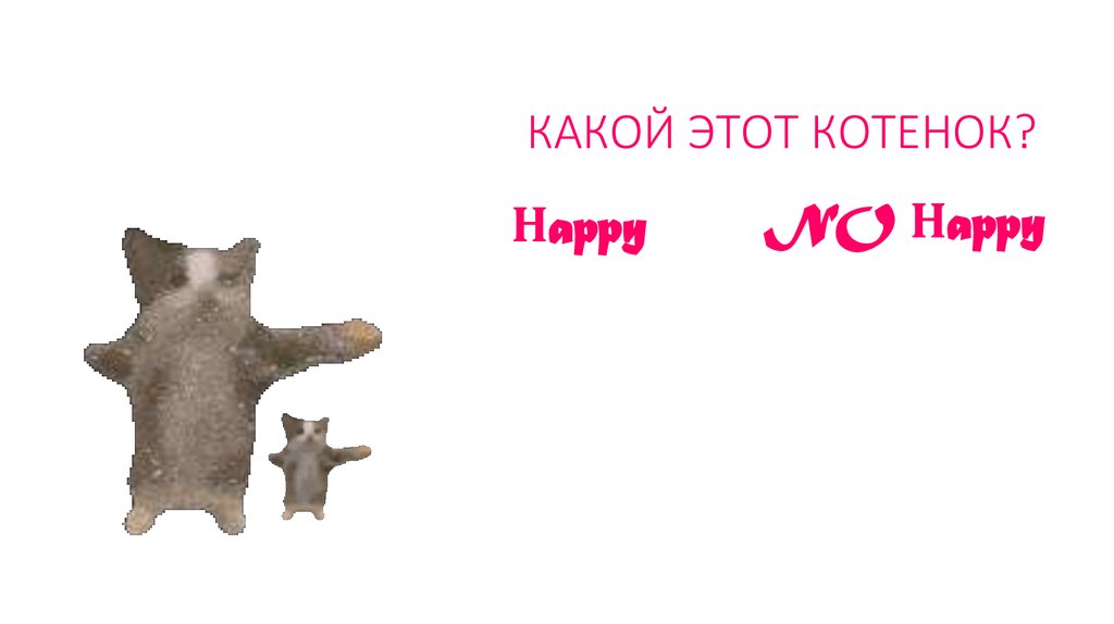 КАКОЙ ЭТОТ КОТЕНОК?