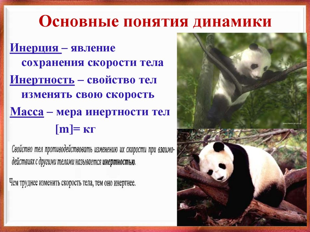 Основные понятия динамики