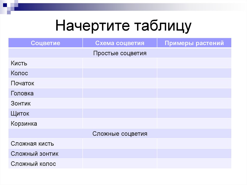 Начертите таблицу