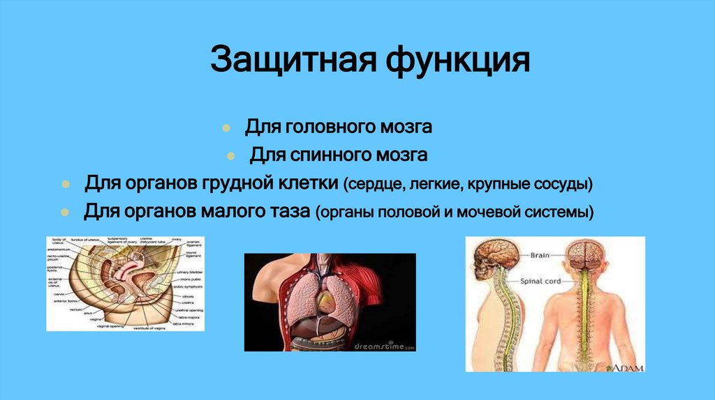 Защитная функция