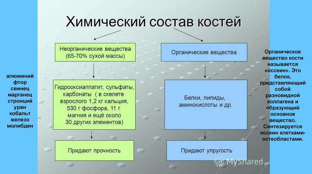 алюминий фтор свинец марганец стронций уран кобальт железо молибден