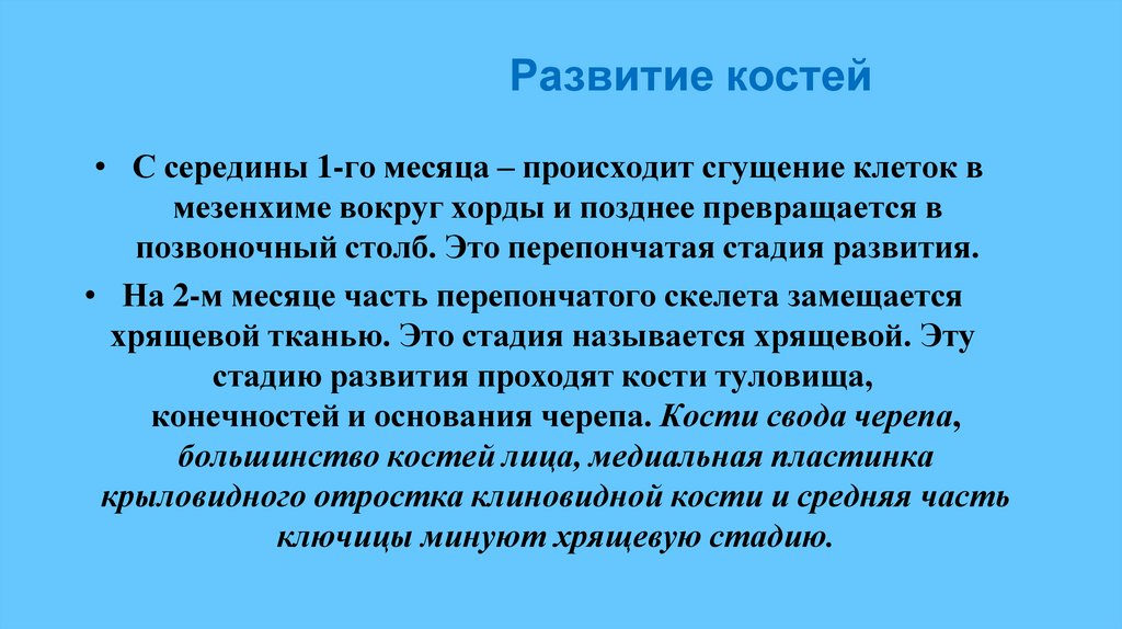Развитие костей
