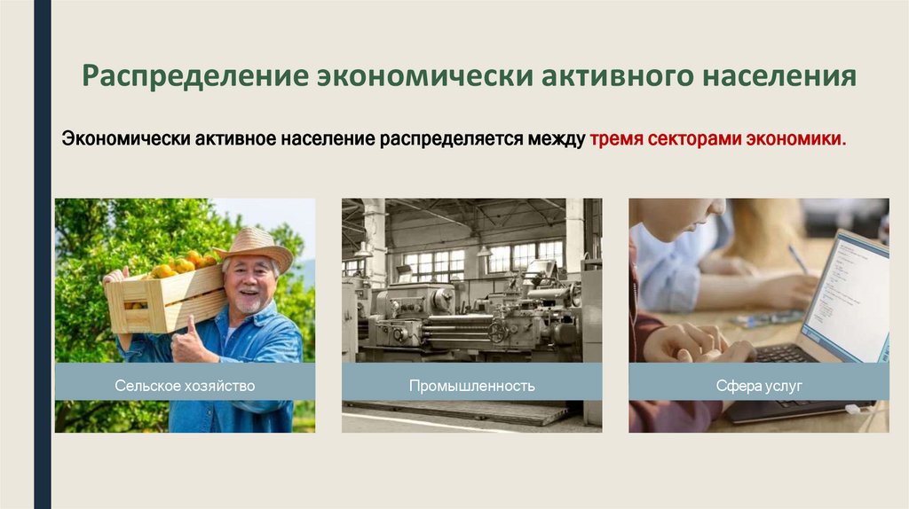 Распределение экономически активного населения