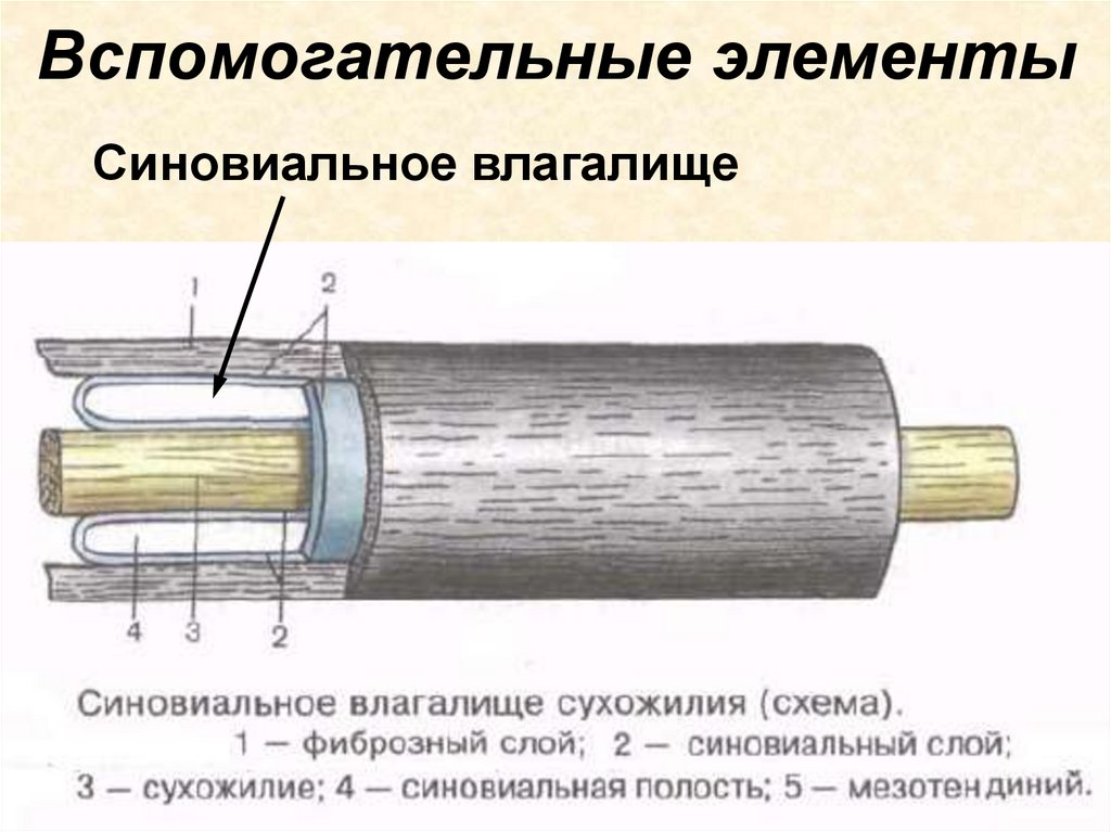 Вспомогательные элементы