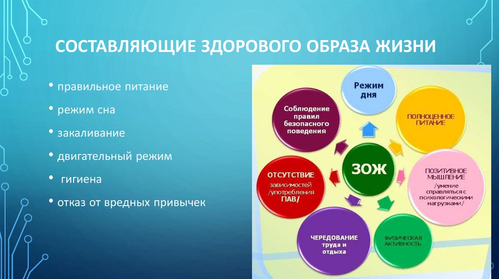 СОСТАВЛЯЮЩИЕ ЗДОРОВОГО ОБРАЗА ЖИЗНИ