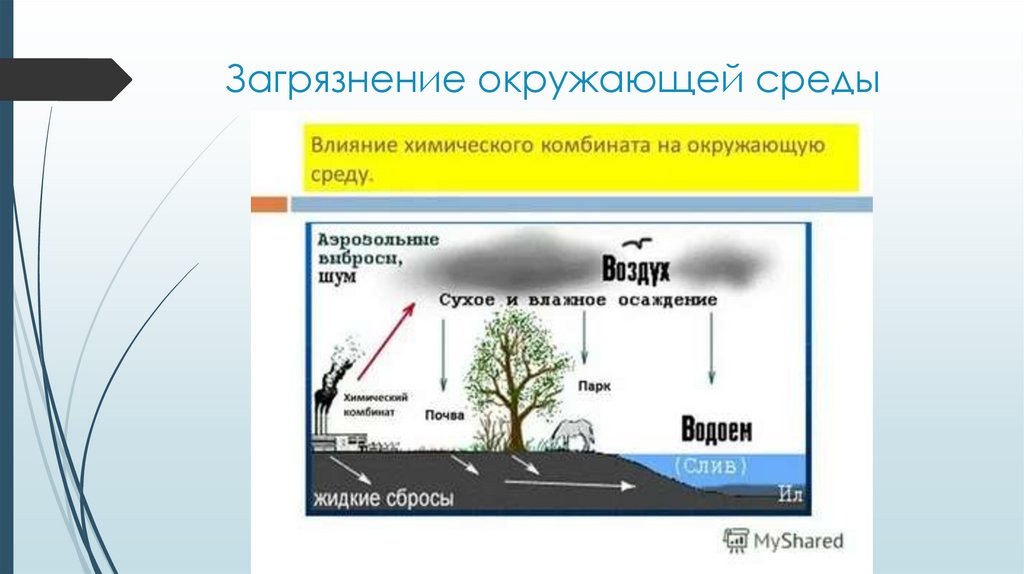 Загрязнение окружающей среды