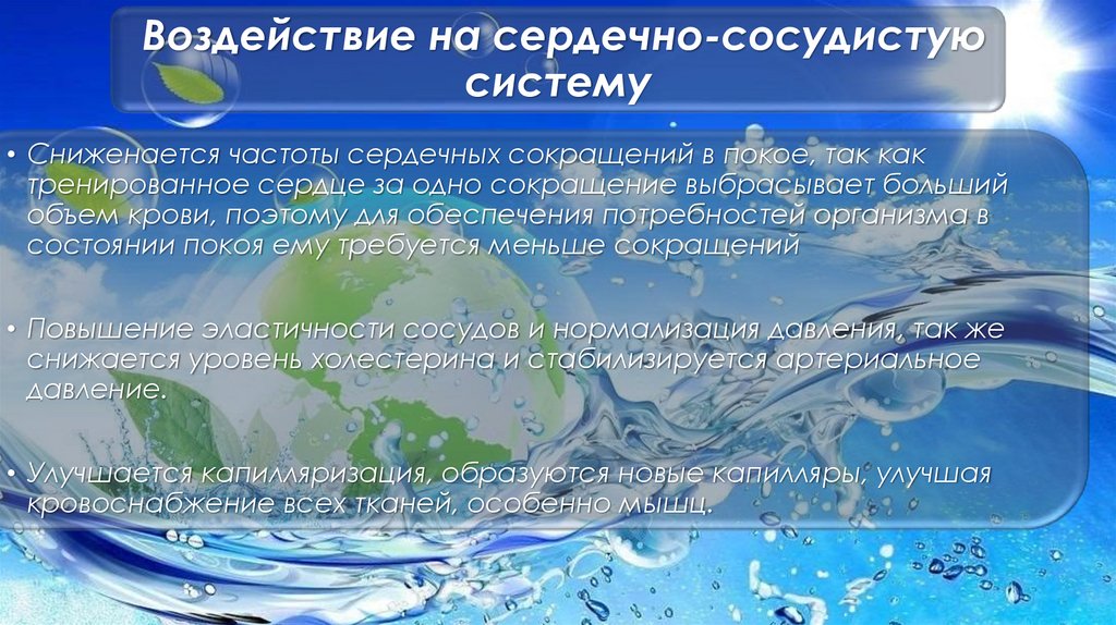  Воздействие на сердечно-сосудистую систему