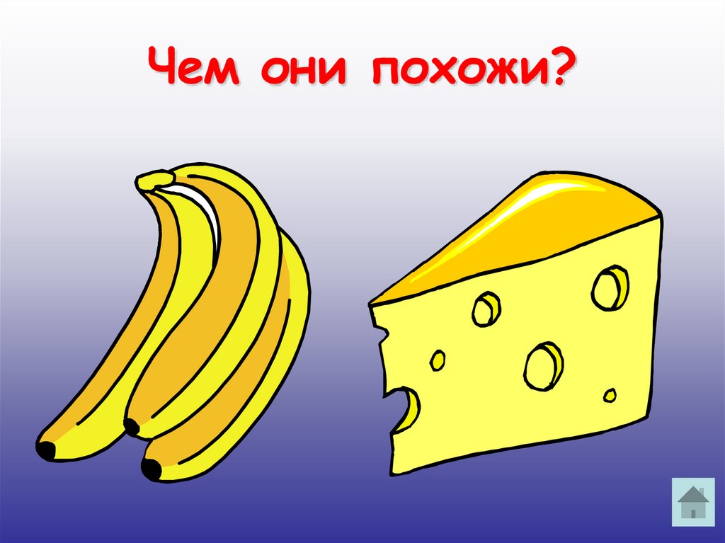 Чем они похожи?