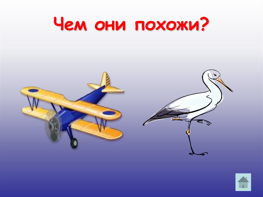 Чем они похожи?