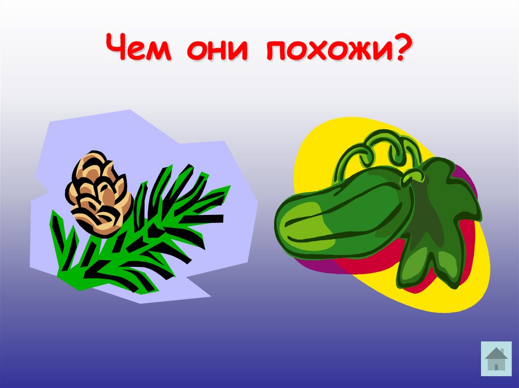 Чем они похожи?