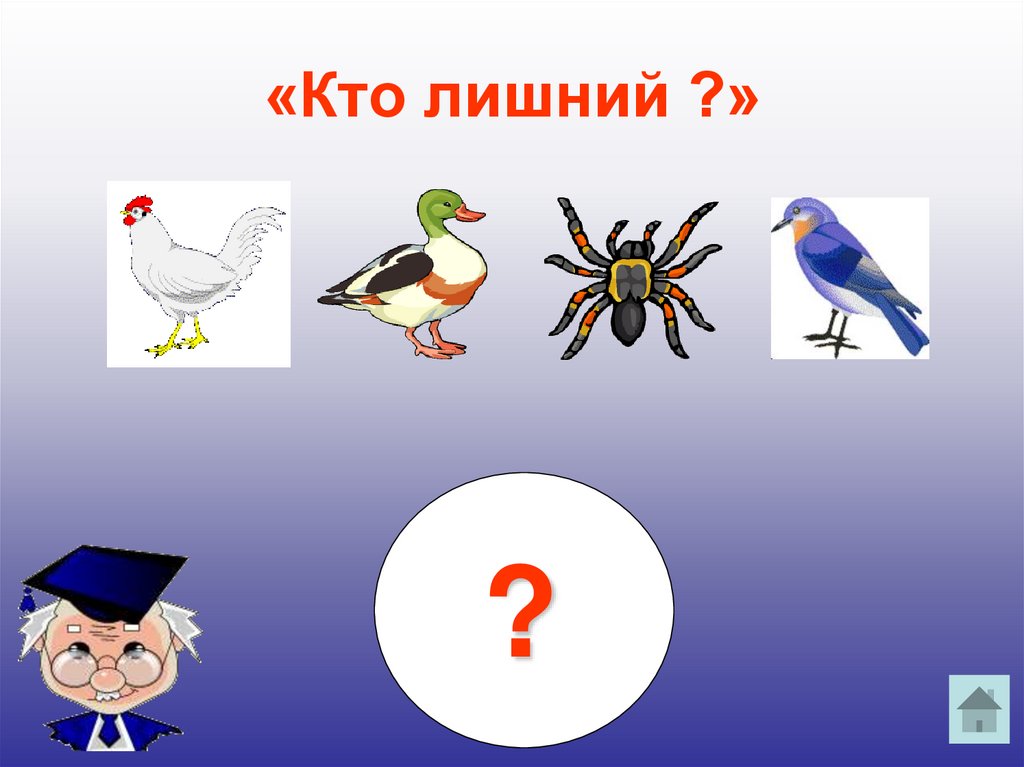 «Кто лишний ?»