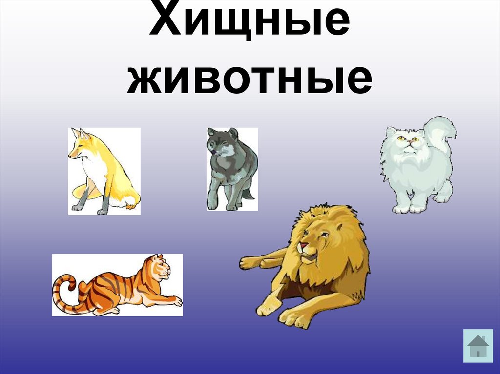 Хищные животные