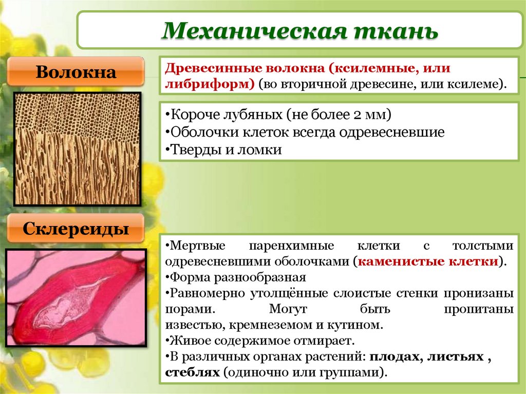 Механическая ткань