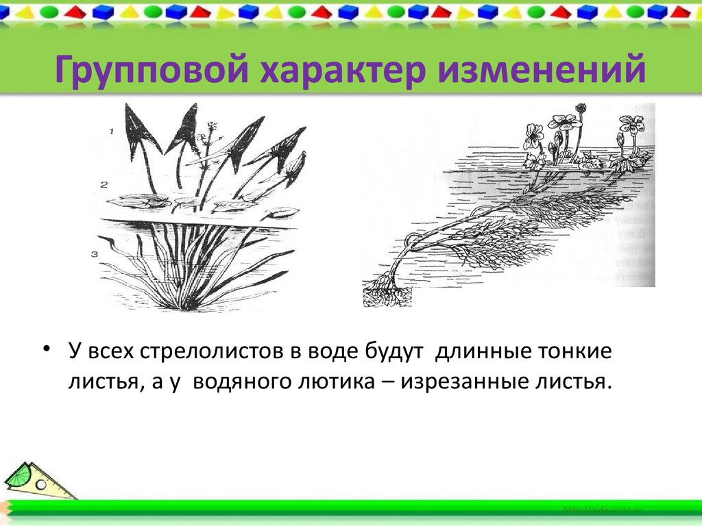 Групповой характер изменений