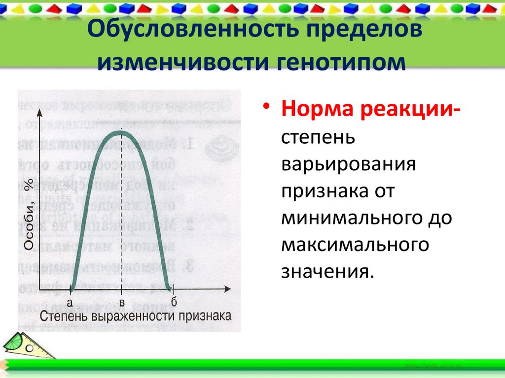 Обусловленность пределов изменчивости генотипом