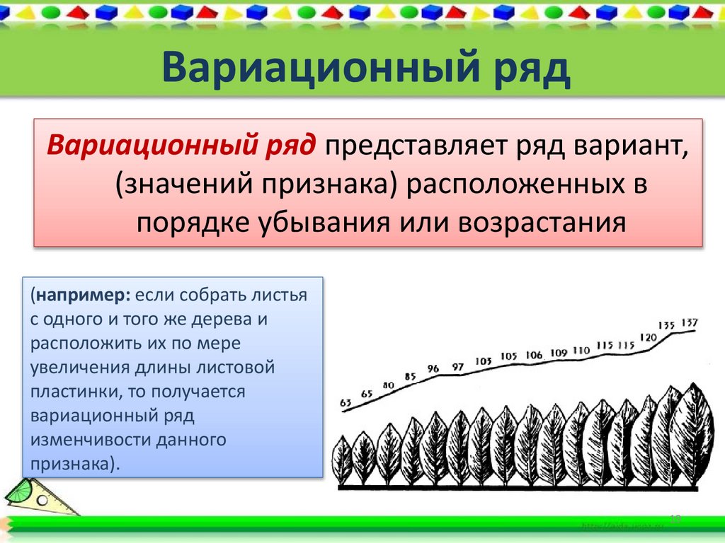 Вариационный ряд