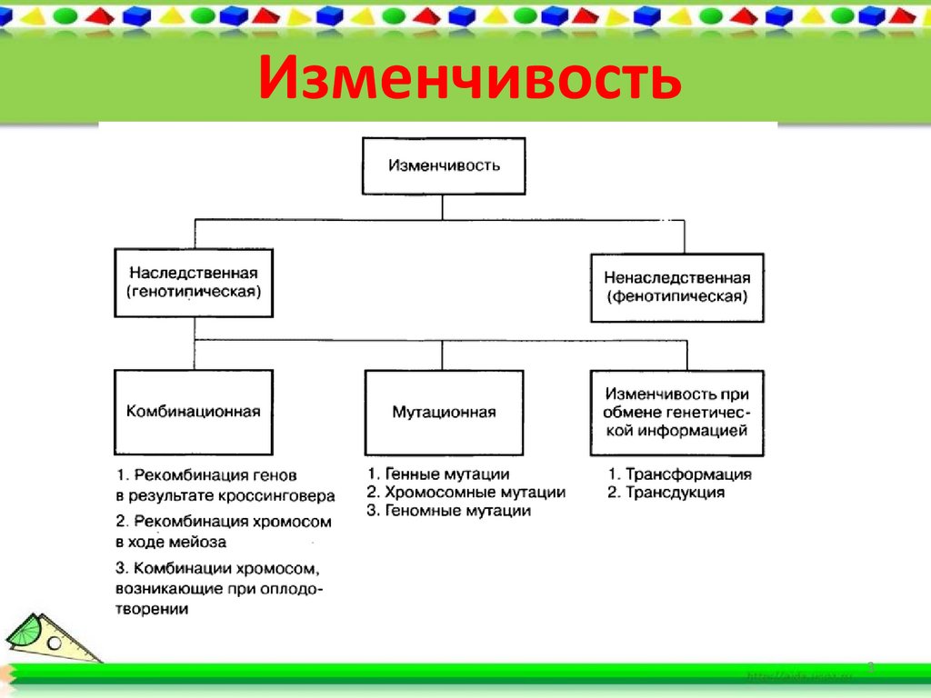 Изменчивость