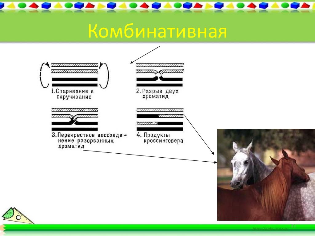 Комбинативная