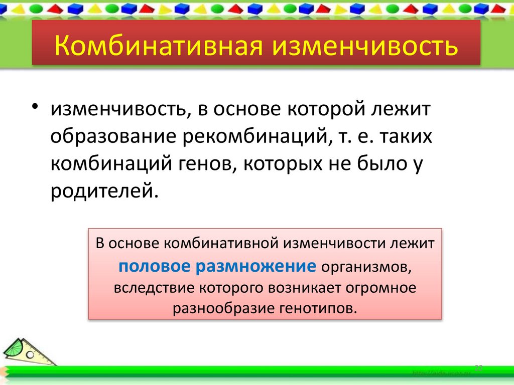 Комбинативная изменчивость