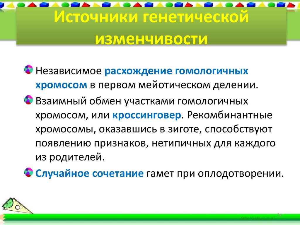 Источники генетической изменчивости