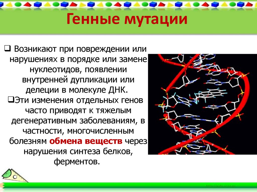 Генные мутации