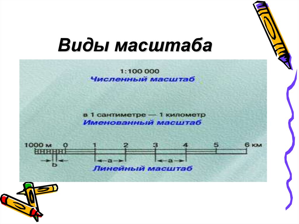Виды масштаба