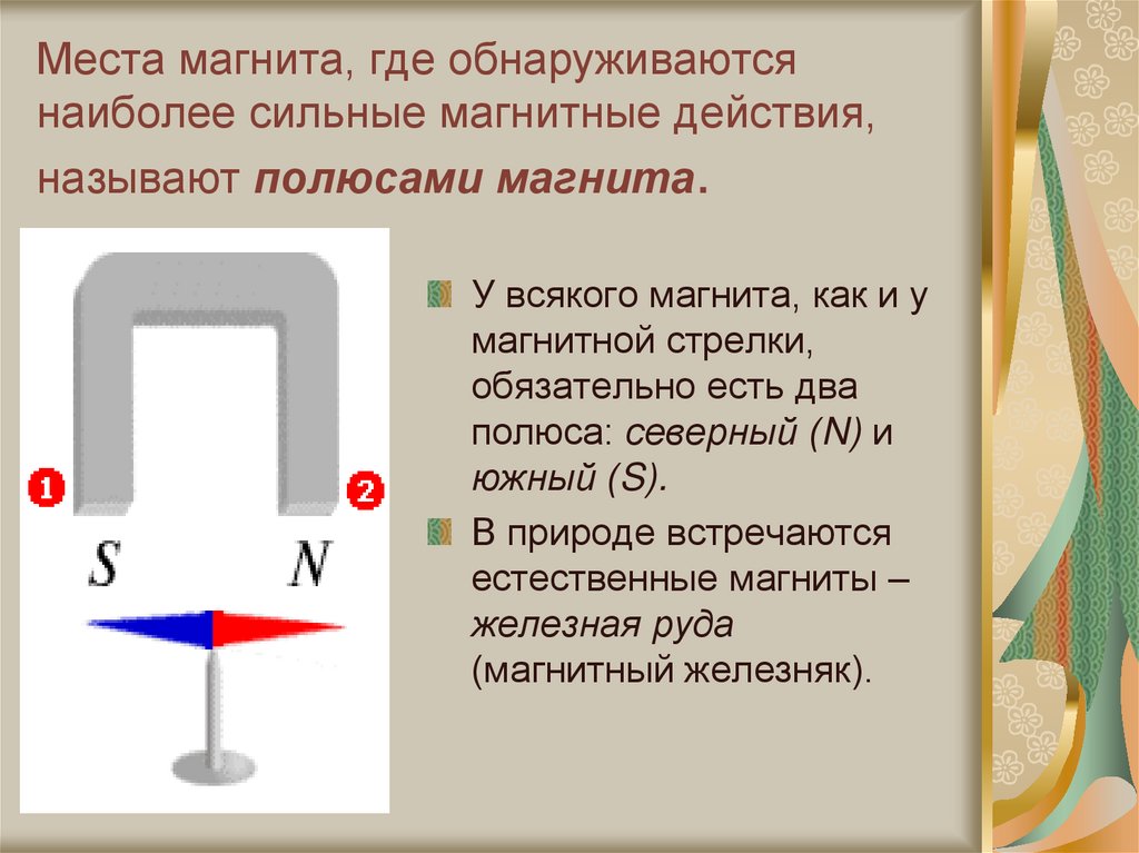 Места магнита, где обнаруживаются наиболее сильные магнитные действия, называют полюсами магнита.