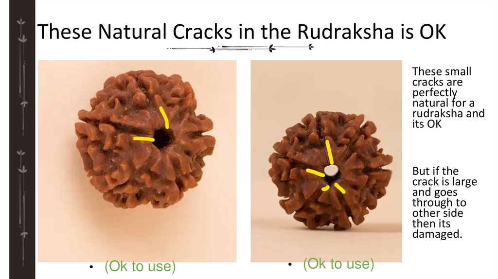 These Natural Cracks in the Rudraksha is OK