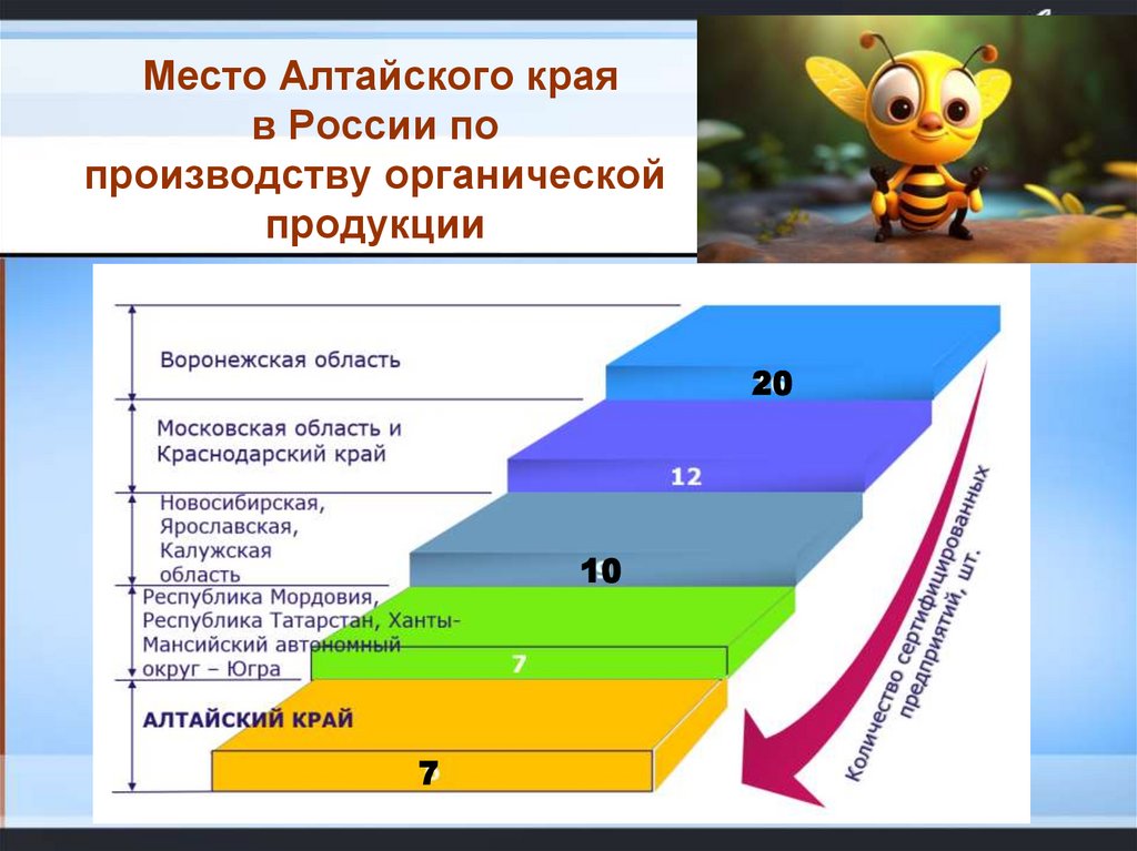 Место Алтайского края в России по производству органической продукции