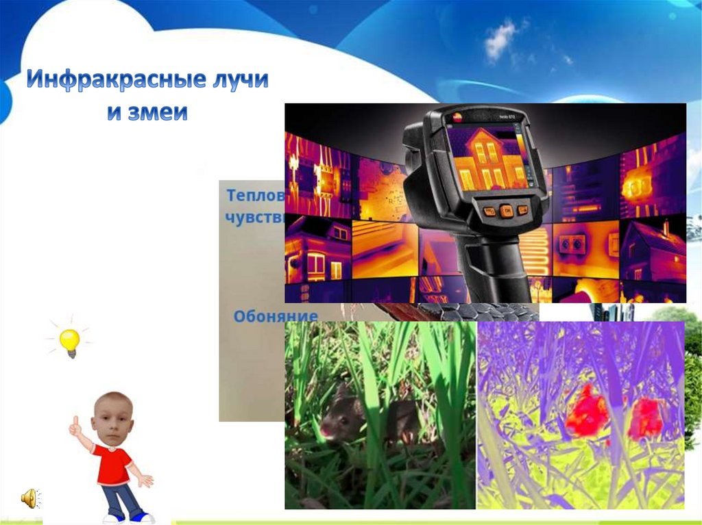 Инфракрасные лучи и змеи