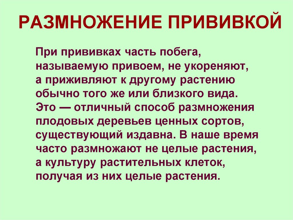 РАЗМНОЖЕНИЕ ПРИВИВКОЙ