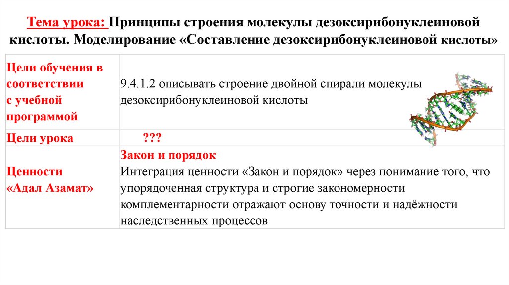 Тема урока: Принципы строения молекулы дезоксирибонуклеиновой кислоты. Моделирование «Составление дезоксирибонуклеиновой