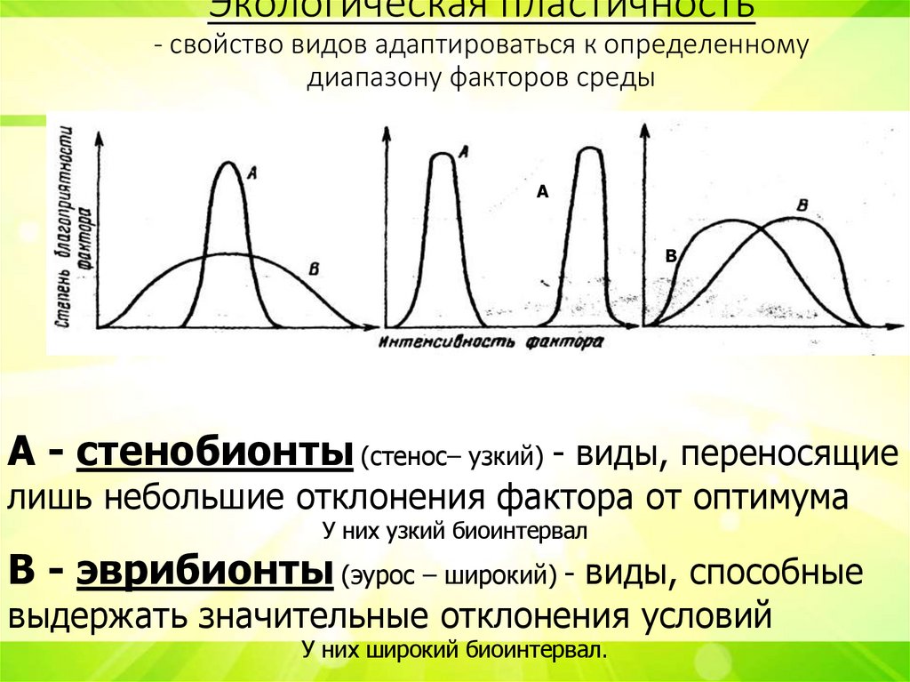 Экологическая пластичность - свойство видов адаптироваться к определенному диапазону факторов среды