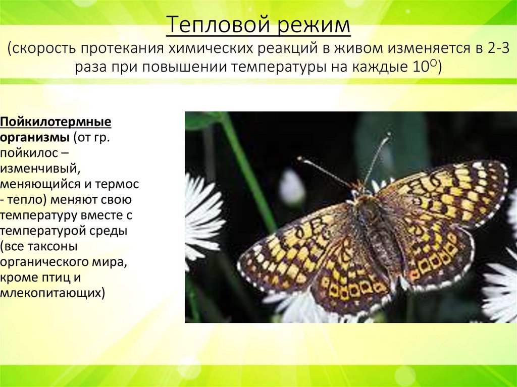 Тепловой режим (скорость протекания химических реакций в живом изменяется в 2-3 раза при повышении температуры на каждые 10О)