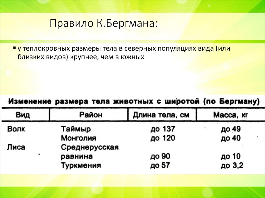Правило К.Бергмана: