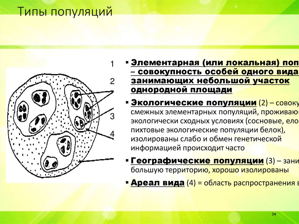 Типы популяций