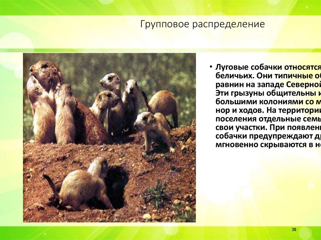 Групповое распределение