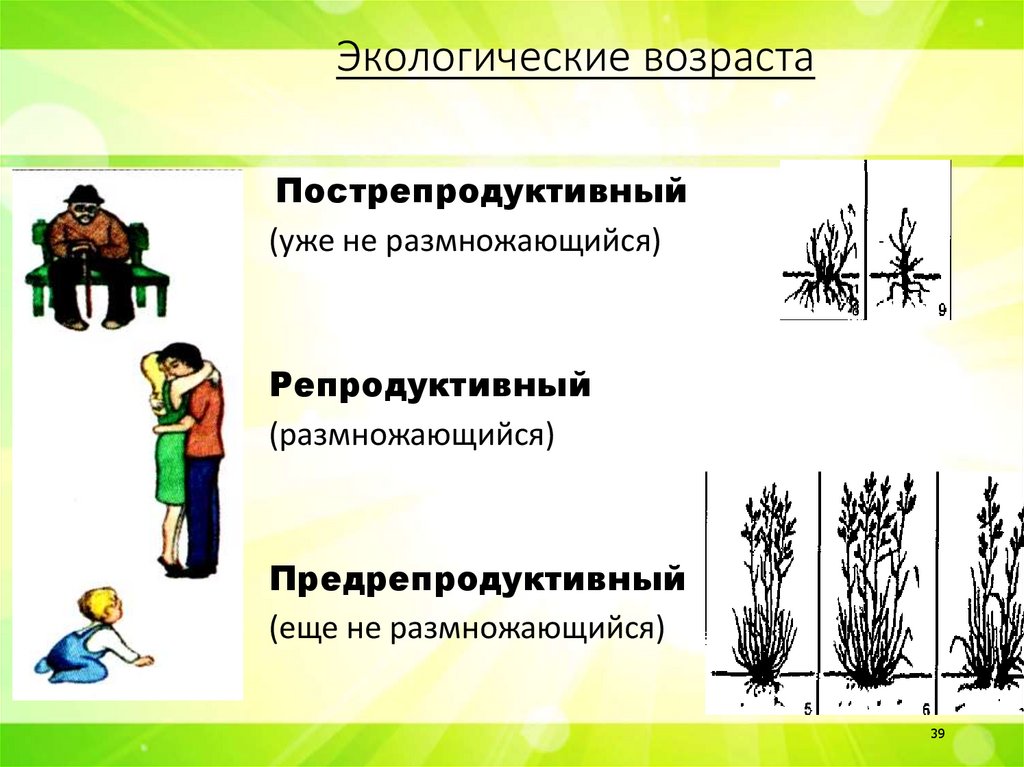 Экологические возраста