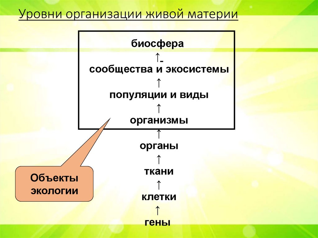 Уровни организации живой материи