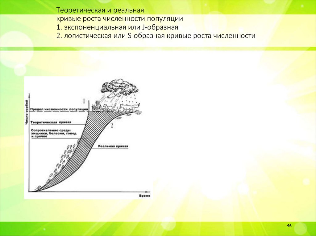 Теоретическая и реальная кривые роста численности популяции 1. экспоненциальная или J-образная 2. логистическая или S-образная
