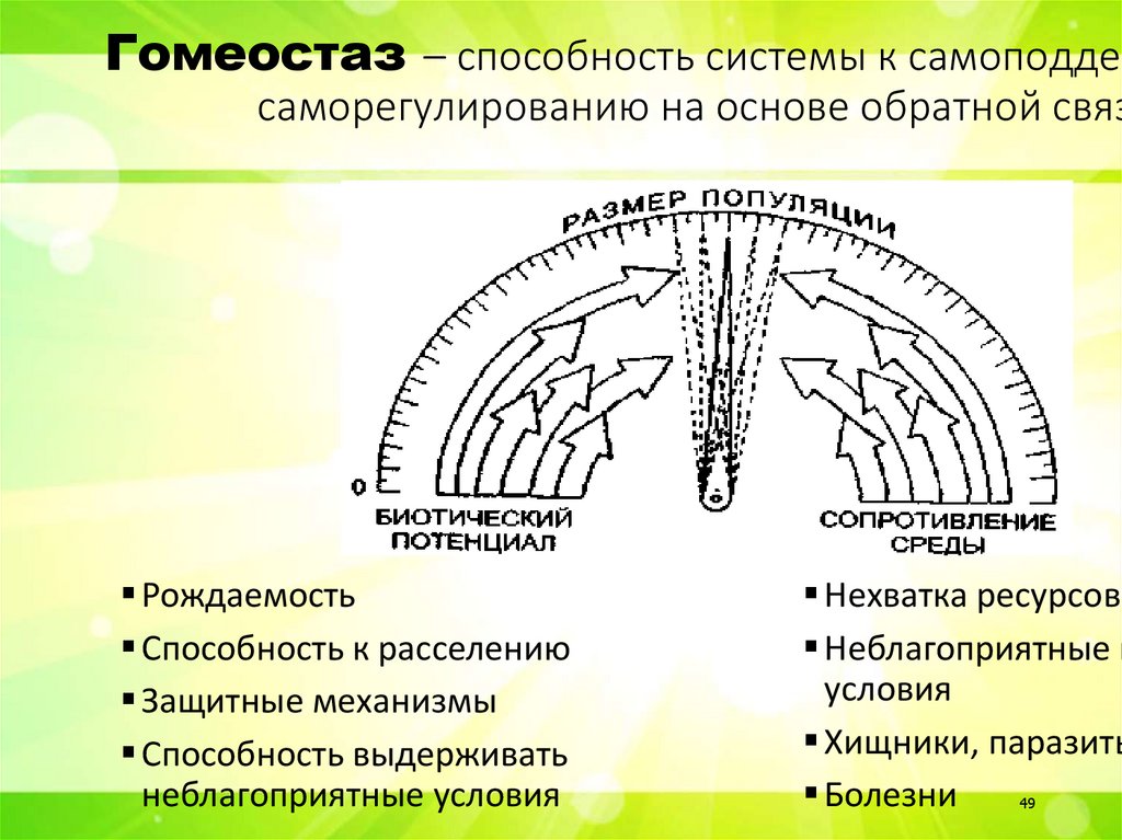 Гомеостаз – способность системы к самоподдержанию и саморегулированию на основе обратной связи
