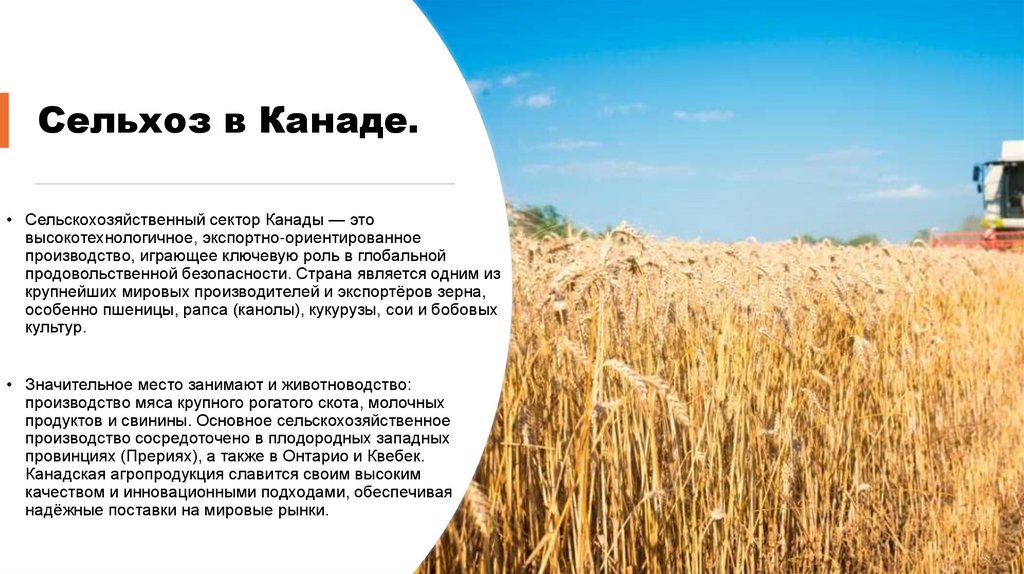 Сельхоз в Канаде.