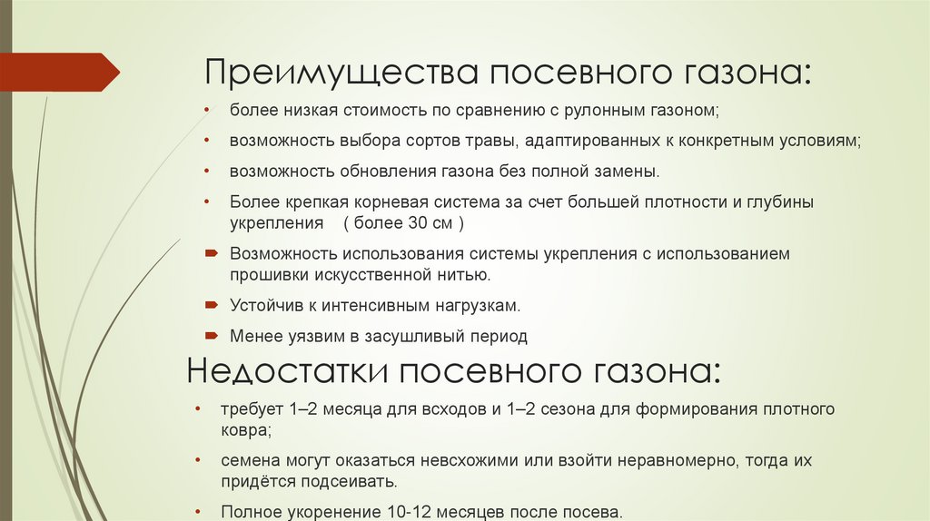 Преимущества посевного газона: