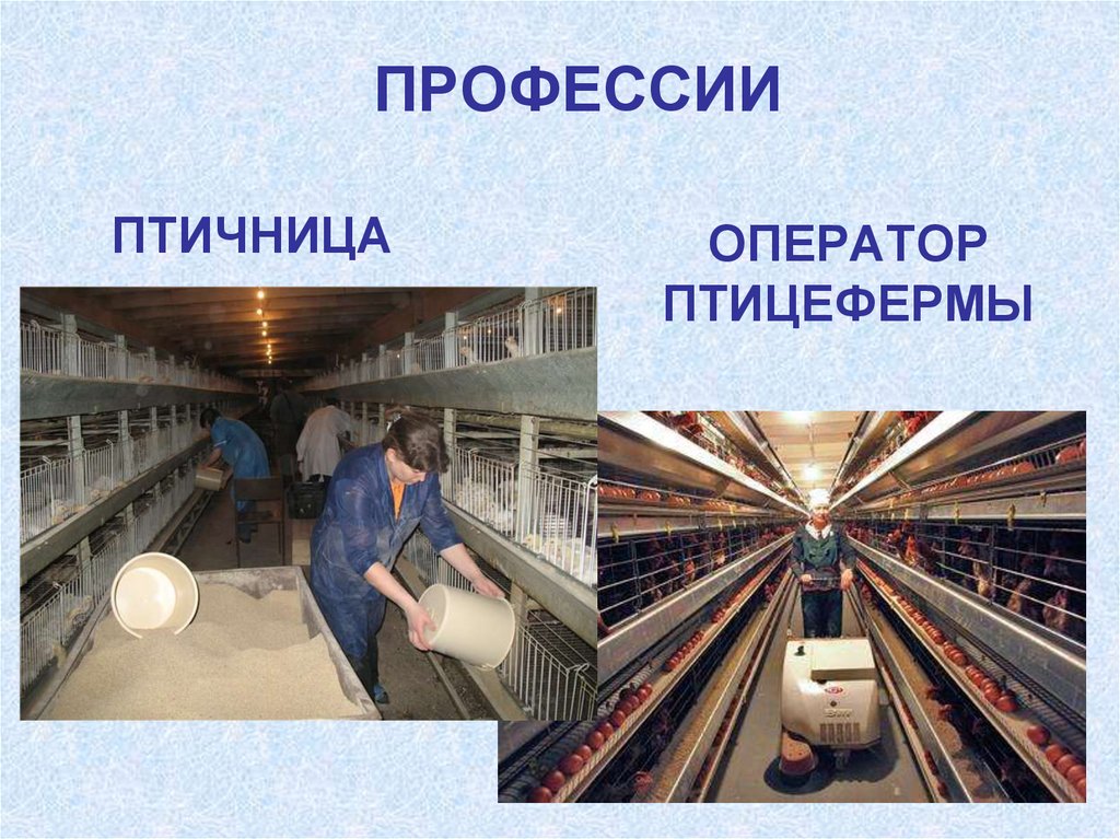 ПРОФЕССИИ